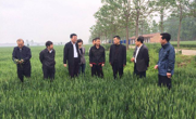 省农业厅种植业处处长李军一行到 夏邑调研小麦生产