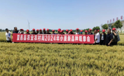 夏邑县农业农村局召开小麦新品种观摩会